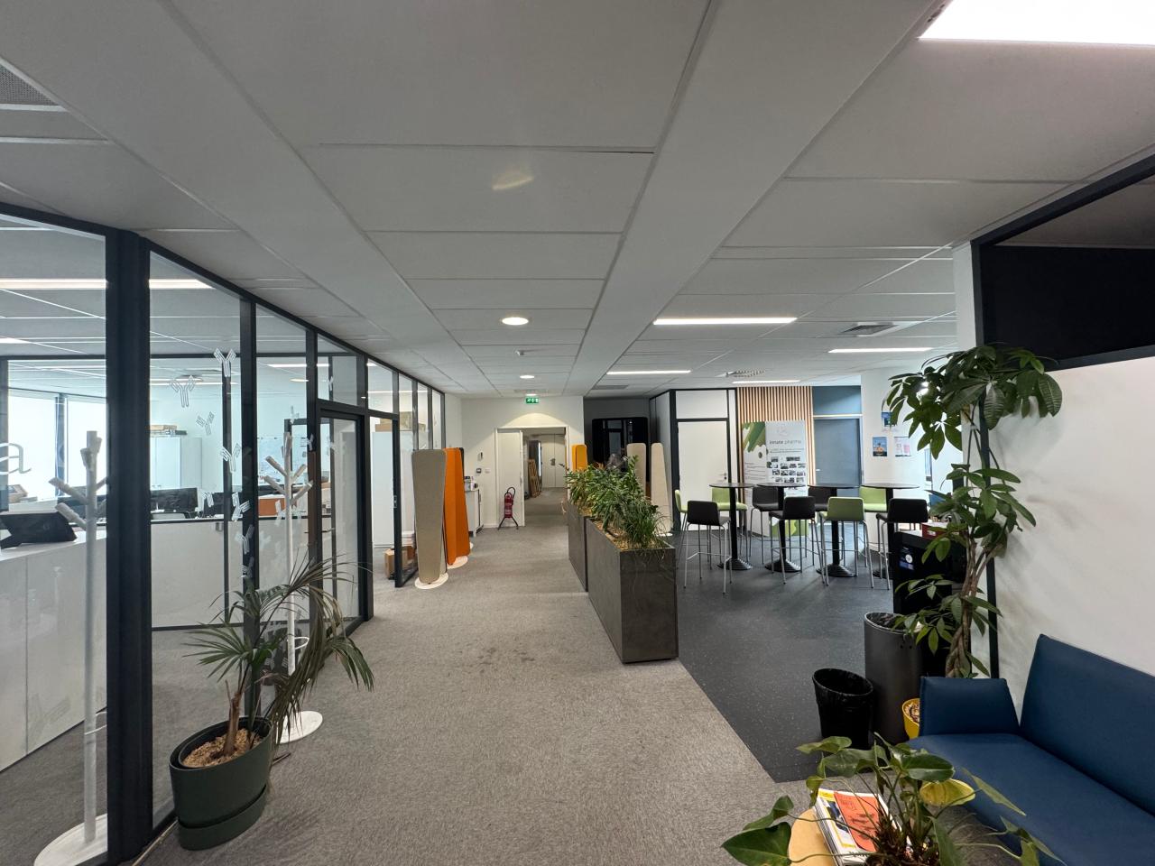 Bureau Marseille 355m² Location bureau Marseille Bouches-du-Rhône OLBUR2531078 7